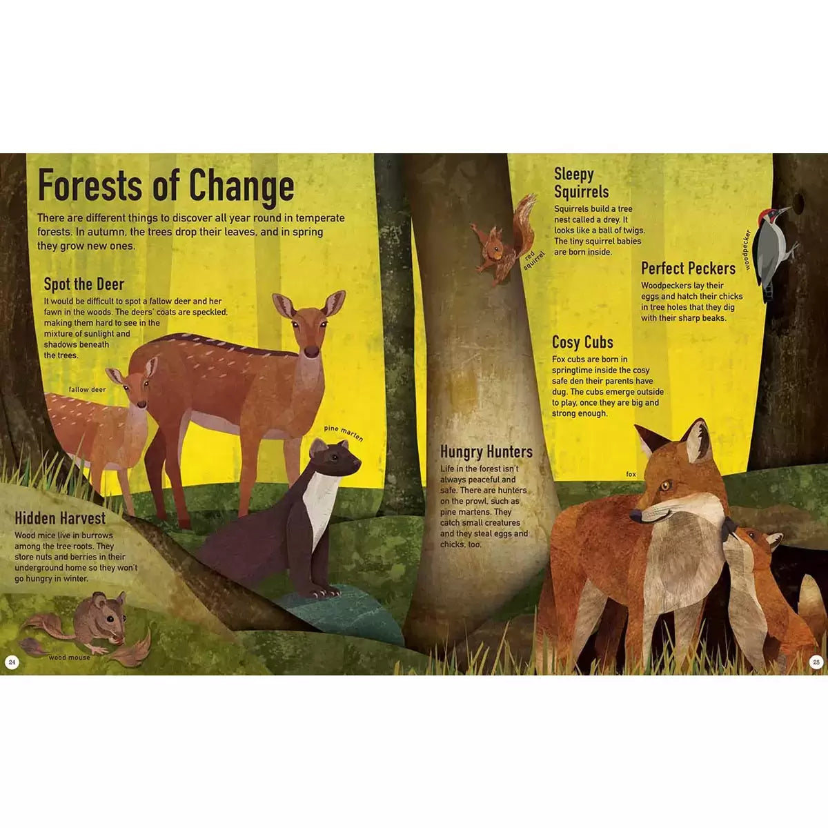 Colours of the World 3 Book Set (6+ Years)