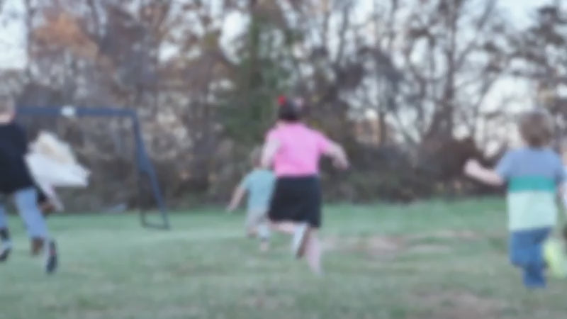 Backyard Discovery Timber Crossing Wooden Playcentre and Swing Set (3-10 Years)